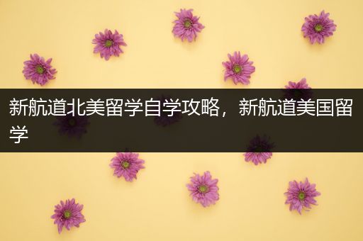 新航道北美留学自学攻略，新航道美国留学