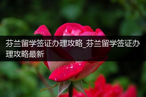芬兰留学签证办理攻略_芬兰留学签证办理攻略最新