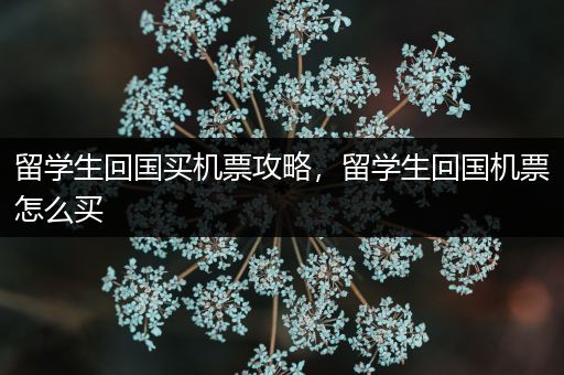 留学生回国买机票攻略，留学生回国机票怎么买