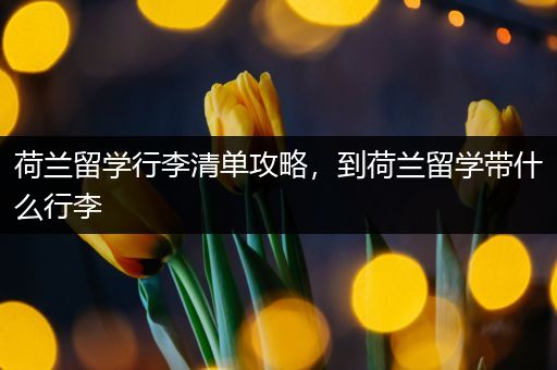 荷兰留学行李清单攻略，到荷兰留学带什么行李