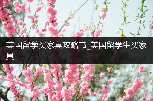 美国留学买家具攻略书_美国留学生买家具