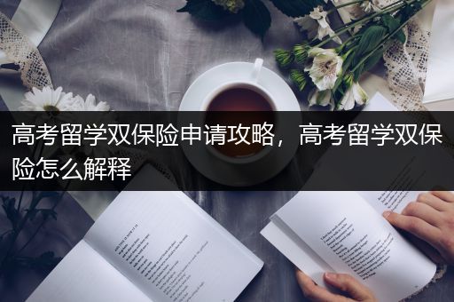 高考留学双保险申请攻略，高考留学双保险怎么解释