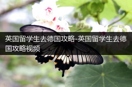 英国留学生去德国攻略-英国留学生去德国攻略视频