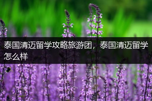 泰国清迈留学攻略旅游团，泰国清迈留学怎么样