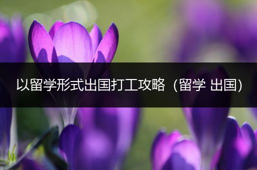 以留学形式出国打工攻略（留学 出国）