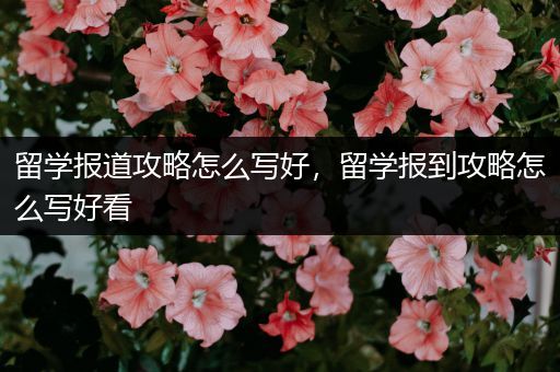 留学报道攻略怎么写好，留学报到攻略怎么写好看