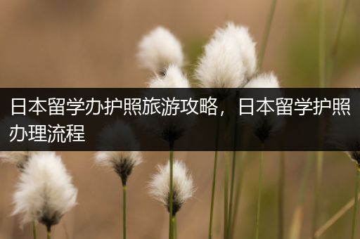 日本留学办护照旅游攻略，日本留学护照办理流程