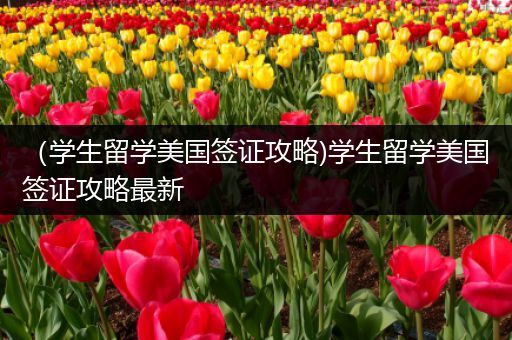 （学生留学美国签证攻略)学生留学美国签证攻略最新