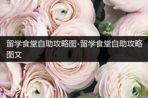 留学食堂自助攻略图-留学食堂自助攻略图文