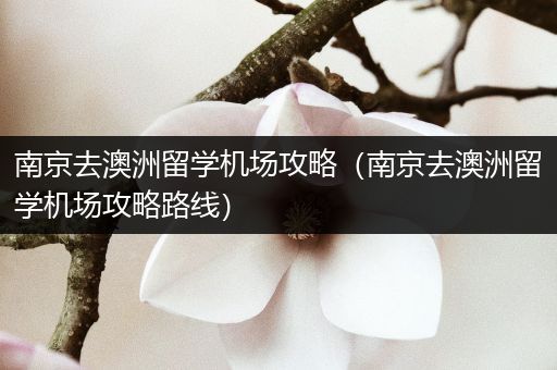南京去澳洲留学机场攻略（南京去澳洲留学机场攻略路线）