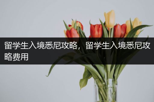 留学生入境悉尼攻略，留学生入境悉尼攻略费用