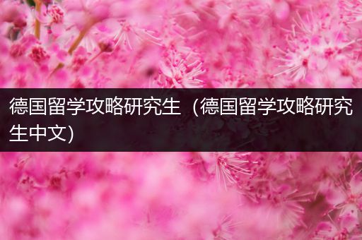 德国留学攻略研究生（德国留学攻略研究生中文）