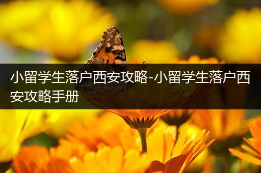 小留学生落户西安攻略-小留学生落户西安攻略手册