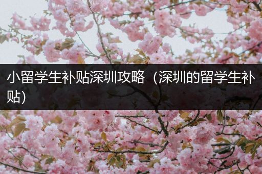 小留学生补贴深圳攻略（深圳的留学生补贴）