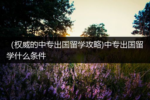 （权威的中专出国留学攻略)中专出国留学什么条件