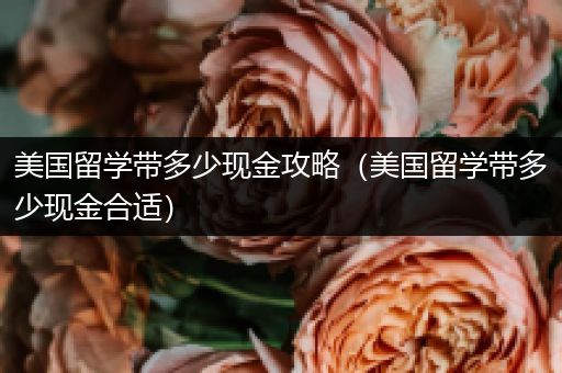 美国留学带多少现金攻略（美国留学带多少现金合适）