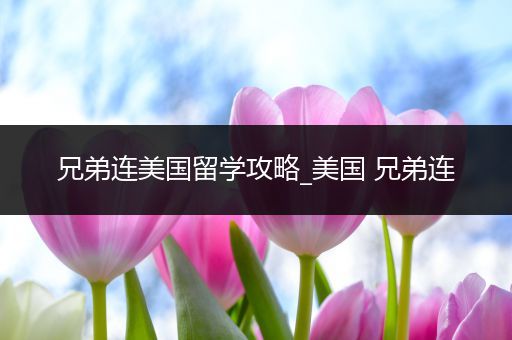 兄弟连美国留学攻略_美国 兄弟连