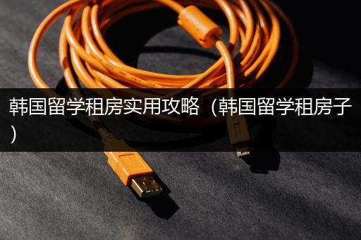 韩国留学租房实用攻略（韩国留学租房子）