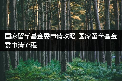 国家留学基金委申请攻略_国家留学基金委申请流程