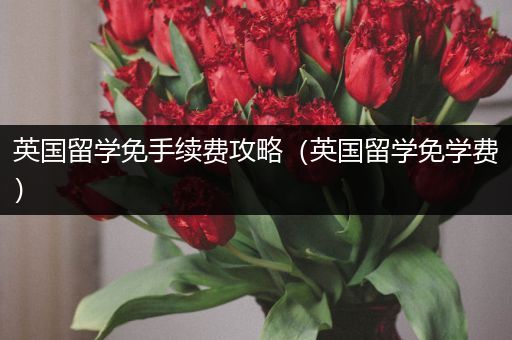英国留学免手续费攻略（英国留学免学费）