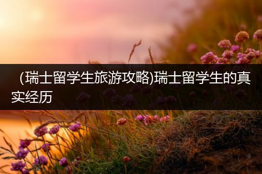 （瑞士留学生旅游攻略)瑞士留学生的真实经历