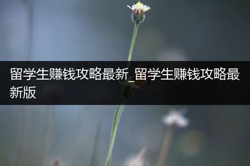 留学生赚钱攻略最新_留学生赚钱攻略最新版