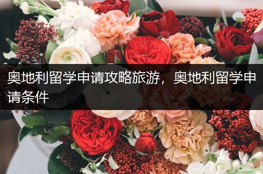 奥地利留学申请攻略旅游，奥地利留学申请条件