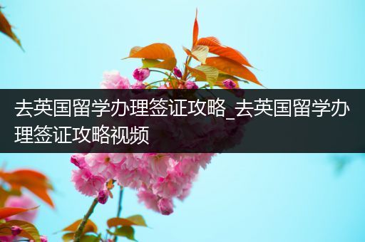 去英国留学办理签证攻略_去英国留学办理签证攻略视频