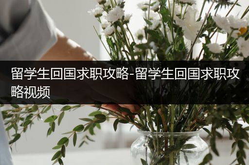 留学生回国求职攻略-留学生回国求职攻略视频