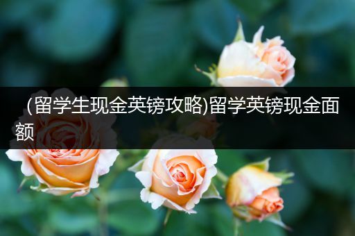 （留学生现金英镑攻略)留学英镑现金面额