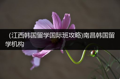 （江西韩国留学国际班攻略)南昌韩国留学机构