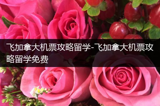 飞加拿大机票攻略留学-飞加拿大机票攻略留学免费