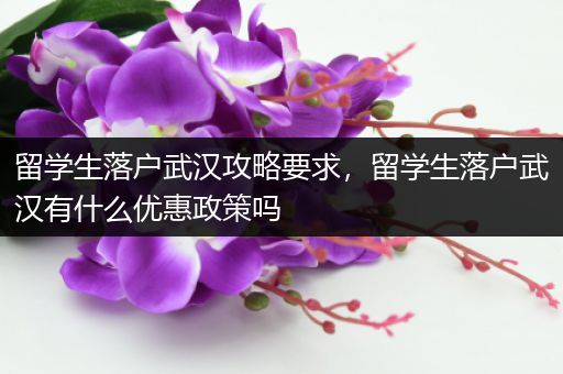 留学生落户武汉攻略要求，留学生落户武汉有什么优惠政策吗
