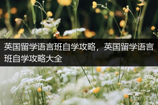 英国留学语言班自学攻略，英国留学语言班自学攻略大全