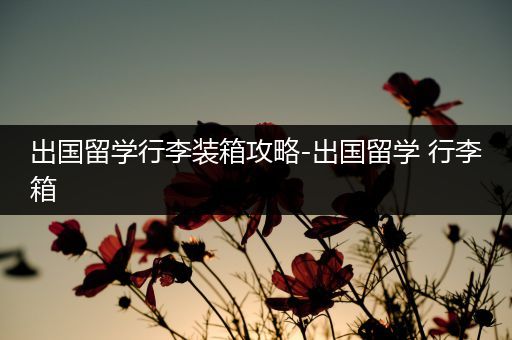 出国留学行李装箱攻略-出国留学 行李箱