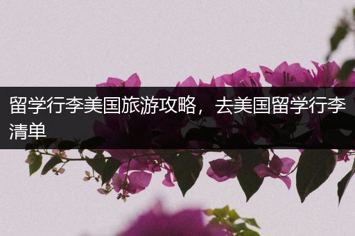 留学行李美国旅游攻略，去美国留学行李清单