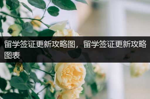 留学签证更新攻略图，留学签证更新攻略图表
