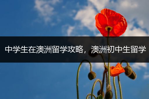 中学生在澳洲留学攻略，澳洲初中生留学