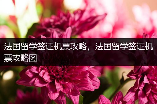 法国留学签证机票攻略，法国留学签证机票攻略图