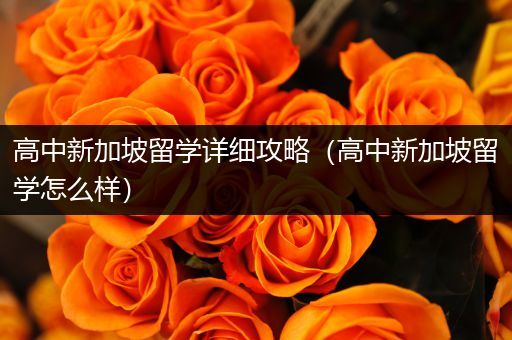 高中新加坡留学详细攻略（高中新加坡留学怎么样）