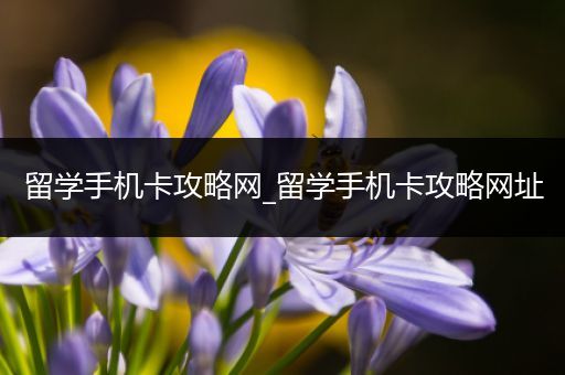 留学手机卡攻略网_留学手机卡攻略网址