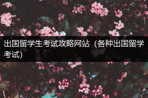 出国留学生考试攻略网站（各种出国留学考试）