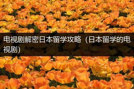 电视剧解密日本留学攻略（日本留学的电视剧）