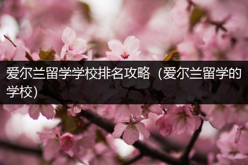 爱尔兰留学学校排名攻略（爱尔兰留学的学校）