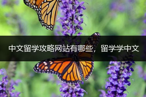 中文留学攻略网站有哪些，留学学中文