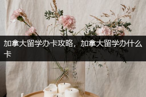 加拿大留学办卡攻略，加拿大留学办什么卡