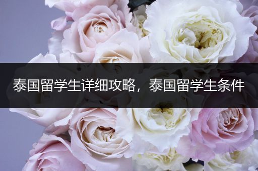 泰国留学生详细攻略，泰国留学生条件