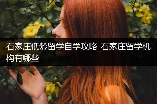 石家庄低龄留学自学攻略_石家庄留学机构有哪些