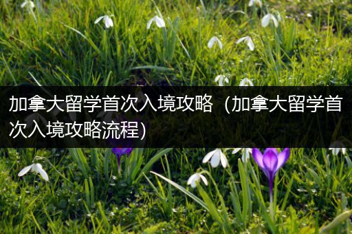 加拿大留学首次入境攻略（加拿大留学首次入境攻略流程）
