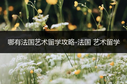 哪有法国艺术留学攻略-法国 艺术留学